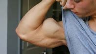 female biceps worship